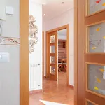 Avg Casa Aurora - Quintes
